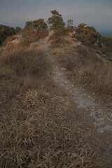 Dry Grass on Hills in Brazil
