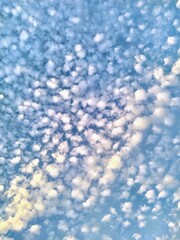 Small clouds in the blue sky on a summer day No. 1