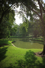 Garden scenery Dense There is a large pond.