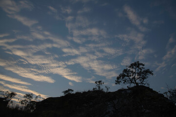 Obraz premium Tree and Stone Silhouettes at Sunrise in the Mountains in Brazil