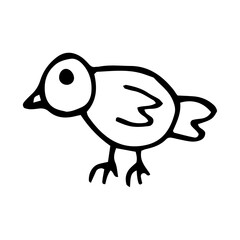 bird hand drawn doodle. single element for design icon, sticker, card, poster. scandinavian, monochrome, minimalism, children