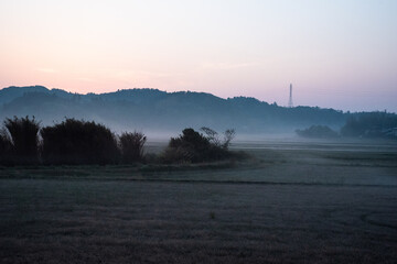 朝霧に包まれて