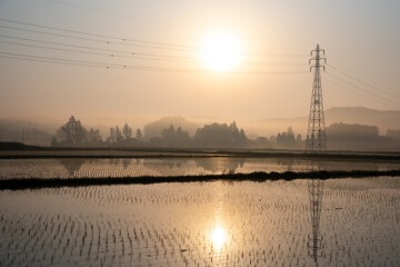 田舎の朝靄