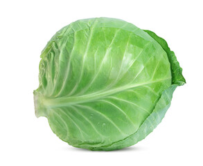 large fresh white cabbage on a white background