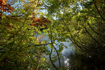 Mountain Lake in Early Autumn Sunlight, Nagano, Japan