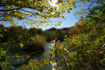 Mountain Lake in Early Autumn Sunlight, Nagano, Japan