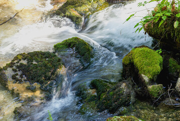 Sunny morning on a mountain river that originates from glaciers and springs that are the sources of clean drinking water.