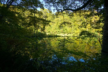 Mountain Lake in Early Autumn Sunlight, Nagano, Japan