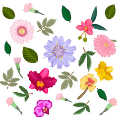 Hand draw several flower pattern illustration