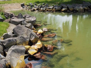 Grassy beach strand with stones and clear green water on the southern shore of the lake Balaton in summer morning in Hungary