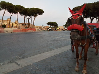 Roma Fori Imperiali