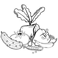 Set of vegetables. Vector illustration of beet, pepper, onion, cucumber, tomato. Hand drawn tomato and cucumber, green peas. Healthy vegetables.