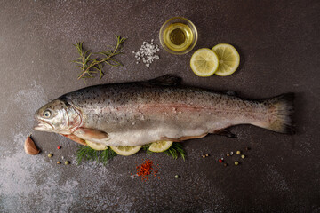 Fresh salmon trout on a dark stone board