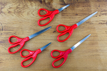 Scissors with red handle Put in the scissors container.