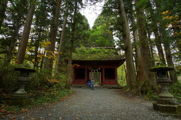 Fototapeta na wymiar Japanese religious architecture in Togakushi, Nagano, Japan