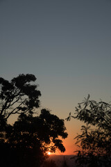 Fototapeta na wymiar Trees Silhouettes at Sunset in Brazil