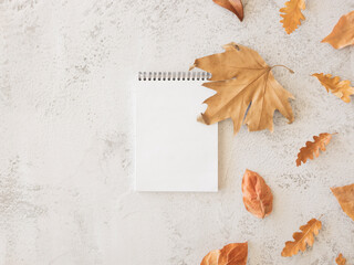 Fall spiral notebook notes concept mockup. Empty sheet with copy space and dried maple and oak leaves. Top view, copy space
