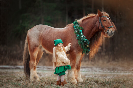 Little girl in green dresshorseback on red tinker horse in christmas wreath 