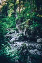 explore the small wild little valley