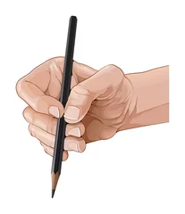 Fotobehang Geïsoleerde hand met een potlood. vector illustratie © ddraw