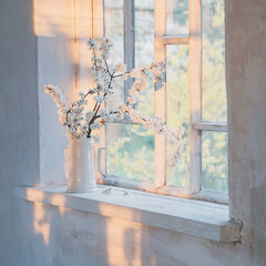 fleurs de cerisier en pot blanc sur le rebord de la fenêtre au coucher du soleil