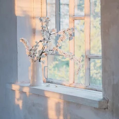 Gardinen Kirschblüten im weißen Krug auf der Fensterbank bei Sonnenuntergang © Maya Kruchancova
