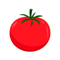 Tomato cartoon. Tomato vector. Tomato on white background.