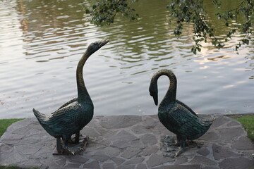 two geese on the lake