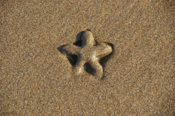 starfish under the sand. tidal wave highlighted the contours of the starfish in the sand. the texture of the sand and the contours of the star