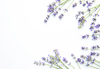 Lavender flowers on white background. Flowers flat lay, top view.