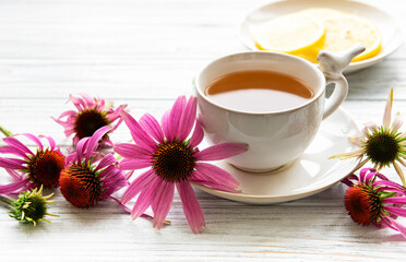 Obraz na płótnie Canvas Echinacea tea with lemon and fresh flowers.