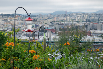 view of Houses, Cars. Cityscape, streets, and mountians of San Francisco in Potrero Hill Neighborhood with power-lines and cars parked on street.