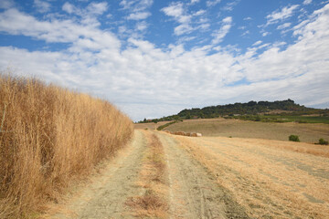 Tuscany landscape, the countryside of Maremma, Saturnia
