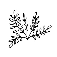 Small bush of grass hand drawn doodle. Sketch twigs with oblong leaves. Black outline plant for postcard poster design element. Stock vector illustration isolated on white background.