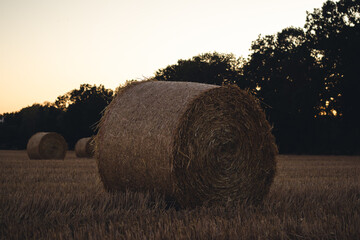 Strohballen im Abendlicht