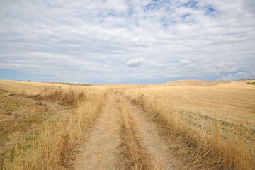 Tuscany landscape, the countryside of Maremma, Saturnia