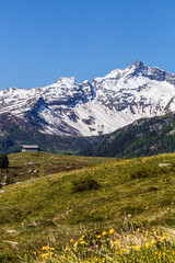 The pastures, the mountains and the nature while hiking above the village of Madesimo, Italy - June...