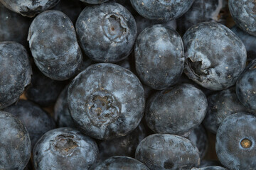 Fresh blueberries, colorful and delicious to eat.