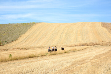 Obraz premium Tuscany landscape, the countryside of Maremma, Saturnia