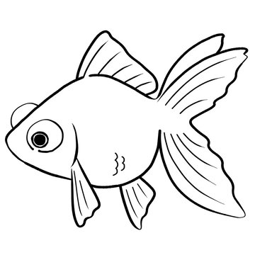 出目金 の画像 938 件の Stock 写真 ベクターおよびビデオ Adobe Stock