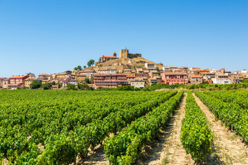 Fototapeta na wymiar beautiful vineyard with a town at the background in la rioja countryside, spain