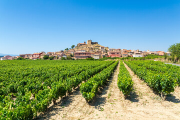 Fototapeta na wymiar beautiful vineyard with a town at the background in la rioja countryside, spain