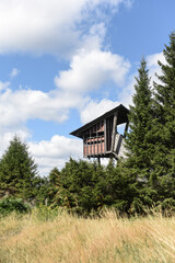 Fototapeta premium Belgique Wallonie Ardenne bois foret environnement planete
