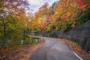 Fototapeta na wymiar Road among the autumn mountains