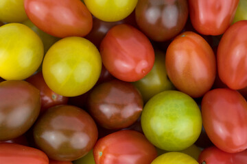 colorful small tomatos - red, green, yellow, dark