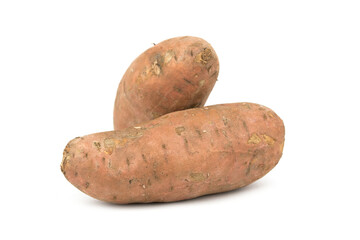 Sweet potato tubers  (Ipomoea batatas)