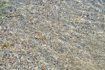 texture of transparent sea water with shells on the bottom