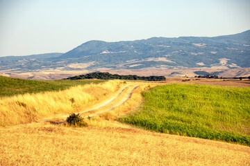 Fototapeta premium Val d'Orcia