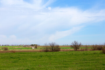 Fototapeta na wymiar Rural landscape, panorama, village, margins, spring, summer. Minimalism.