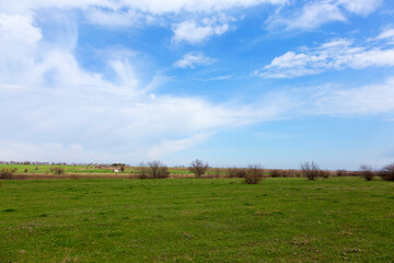 Fototapeta premium Rural landscape, panorama, village, margins, spring, summer. Minimalism.